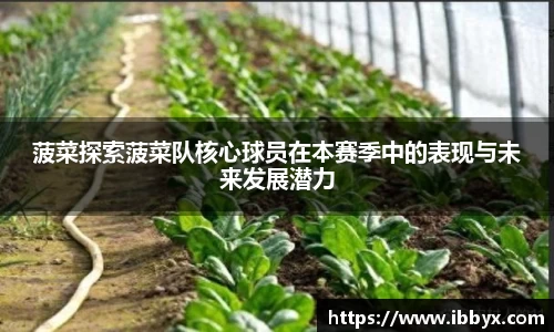 谈球吧登录注册